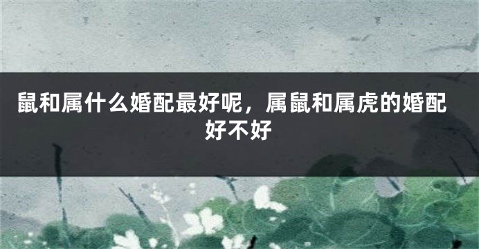 鼠和属什么婚配最好呢，属鼠和属虎的婚配好不好
