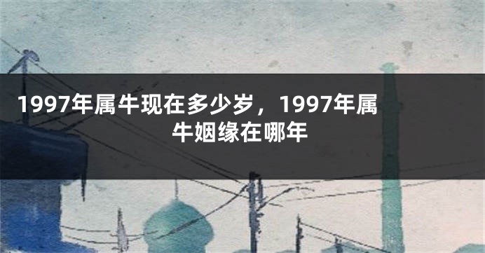 1997年属牛现在多少岁，1997年属牛姻缘在哪年