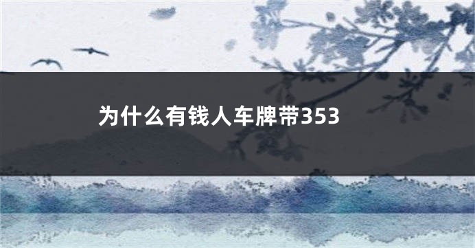 为什么有钱人车牌带353