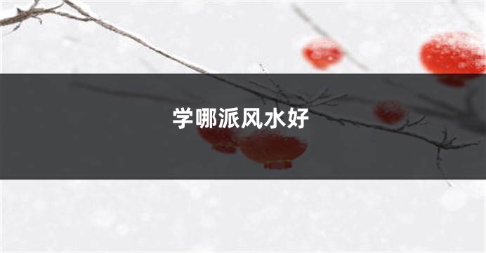 学哪派风水好