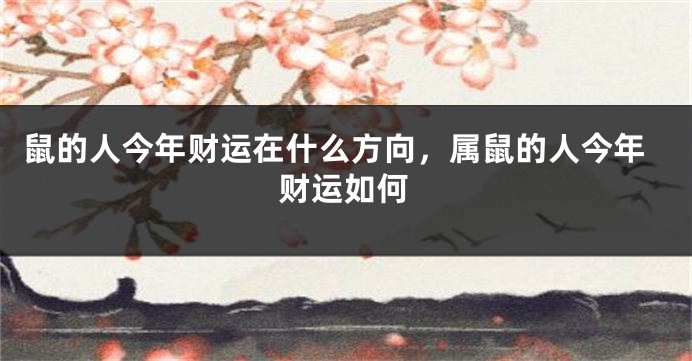 鼠的人今年财运在什么方向，属鼠的人今年财运如何