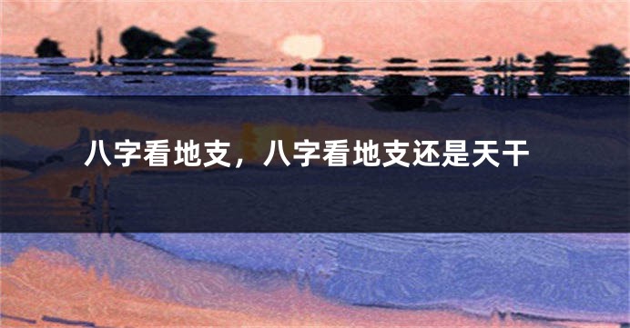 八字看地支，八字看地支还是天干