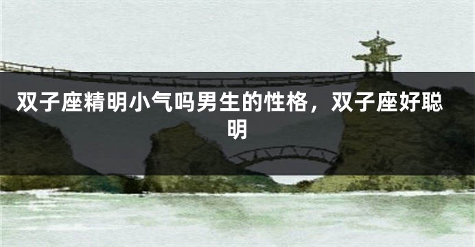 双子座精明小气吗男生的性格，双子座好聪明