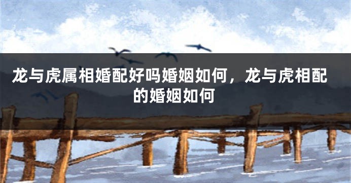 龙与虎属相婚配好吗婚姻如何，龙与虎相配的婚姻如何