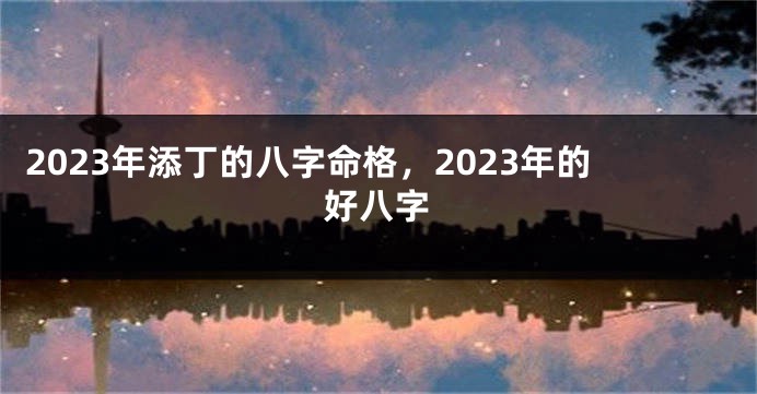 2023年添丁的八字命格,2023年的好八字