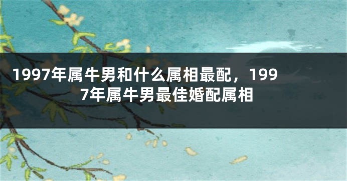1997年属牛男和什么属相最配,1997年属牛男最佳婚配属相