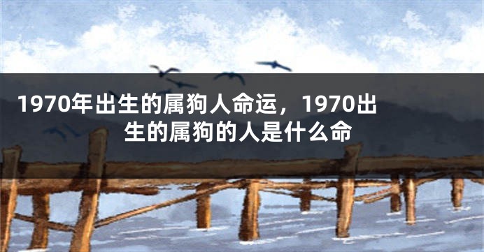 1970年出生的属狗人命运，1970出生的属狗的人是什么命