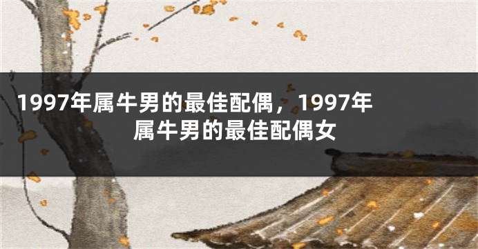 1997年属牛男的最佳配偶，1997年属牛男的最佳配偶女