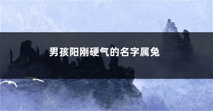 男孩阳刚硬气的名字属兔