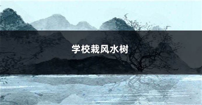学校栽风水树