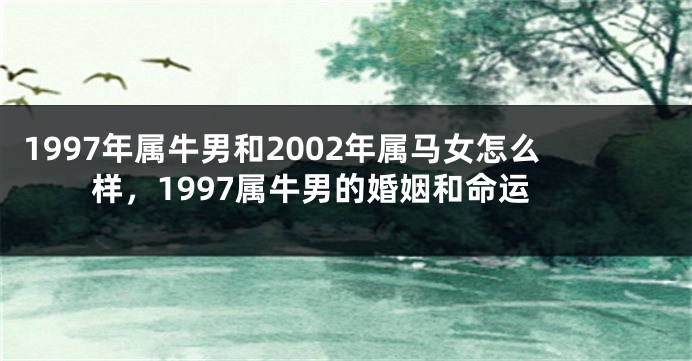 1997年属牛男和2002年属马女怎么样，1997属牛男的婚姻和命运