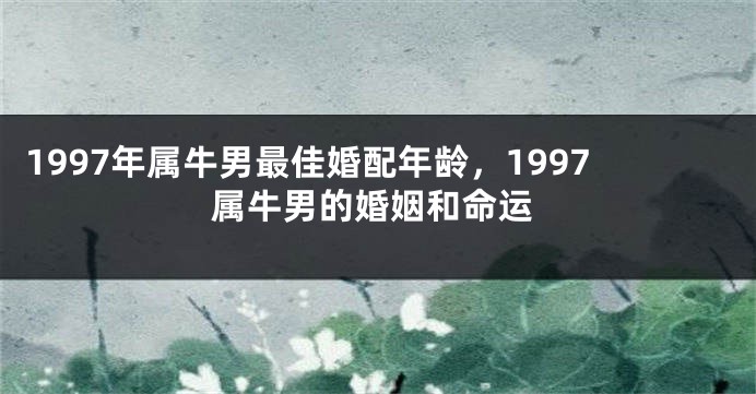 1997年属牛男最佳婚配年龄，1997属牛男的婚姻和命运