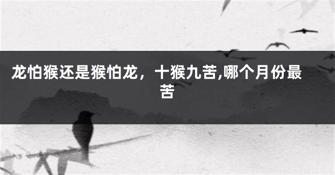 龙怕猴还是猴怕龙，十猴九苦,哪个月份最苦
