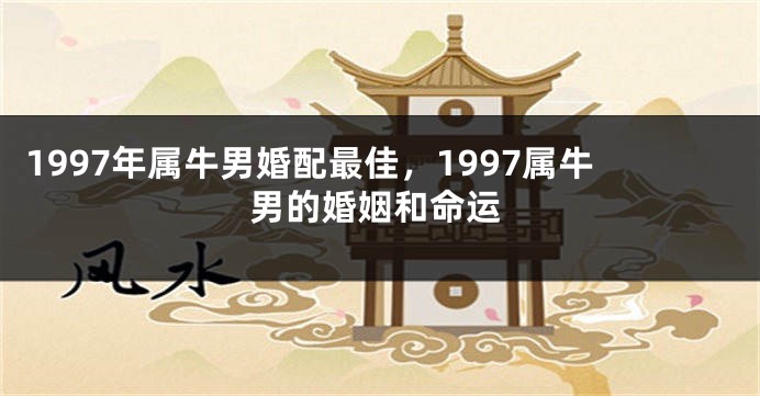 1997年属牛男婚配最佳，1997属牛男的婚姻和命运