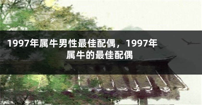 1997年属牛男性最佳配偶，1997年属牛的最佳配偶