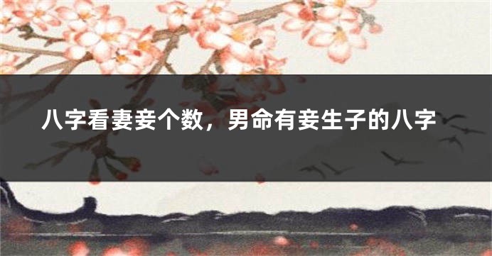 八字看妻妾个数，男命有妾生子的八字