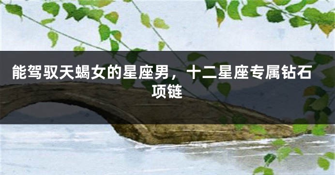 能驾驭天蝎女的星座男，十二星座专属钻石项链