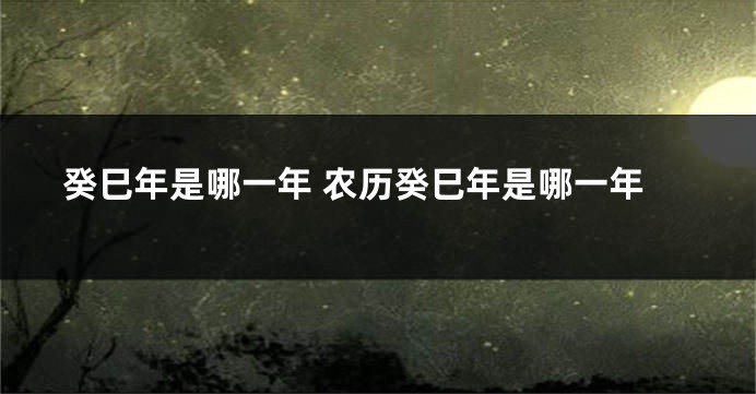 癸巳年是哪一年 农历癸巳年是哪一年