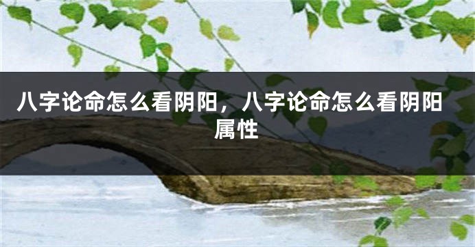八字论命怎么看阴阳，八字论命怎么看阴阳属性