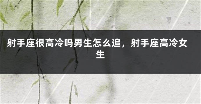射手座很高冷吗男生怎么追，射手座高冷女生