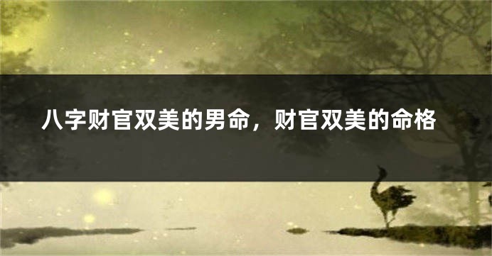 八字财官双美的男命，财官双美的命格