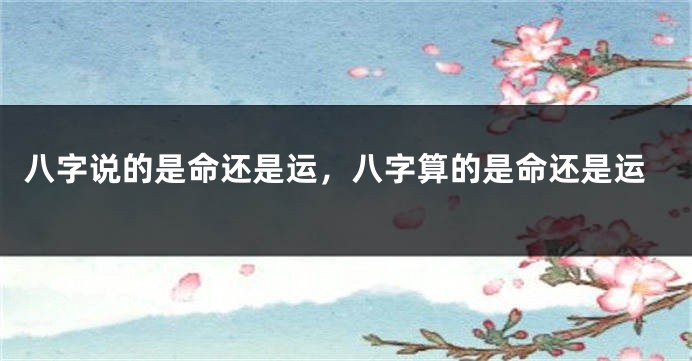 八字说的是命还是运，八字算的是命还是运