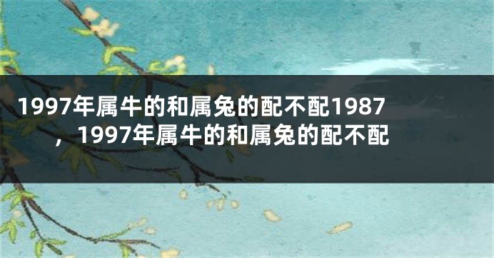 1997年属牛的和属兔的配不配1987，1997年属牛的和属兔的配不配