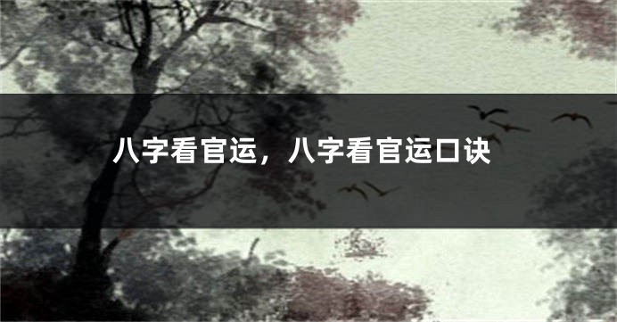八字看官运，八字看官运口诀