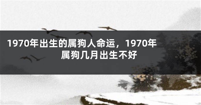 1970年出生的属狗人命运，1970年属狗几月出生不好