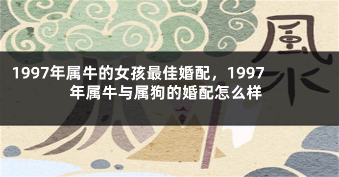1997年属牛的女孩最佳婚配，1997年属牛与属狗的婚配怎么样