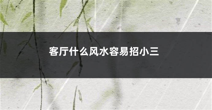 客厅什么风水容易招小三