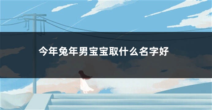 今年兔年男宝宝取什么名字好