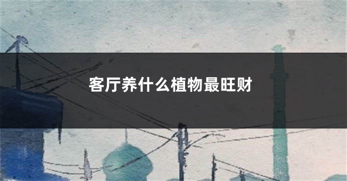 客厅养什么植物最旺财