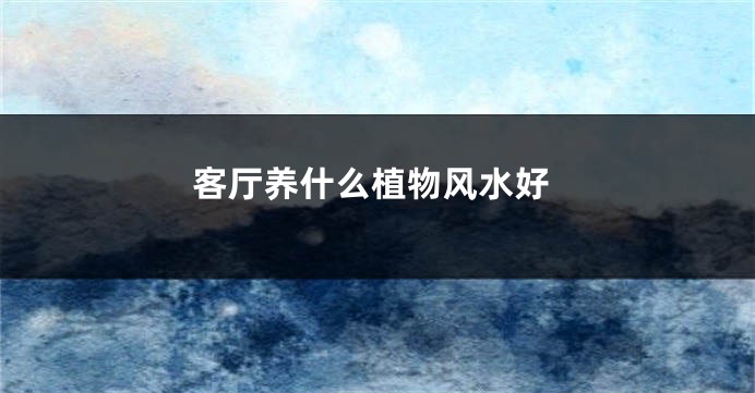 客厅养什么植物风水好