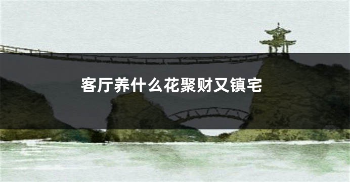 客厅养什么花聚财又镇宅