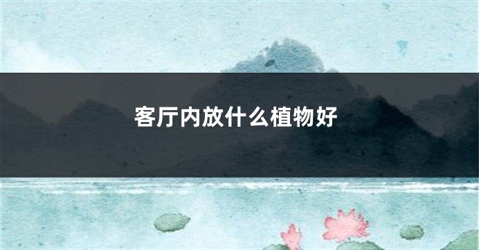 客厅内放什么植物好