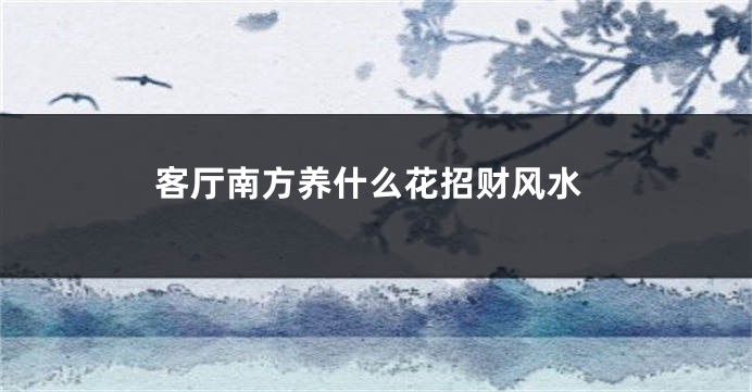 客厅南方养什么花招财风水
