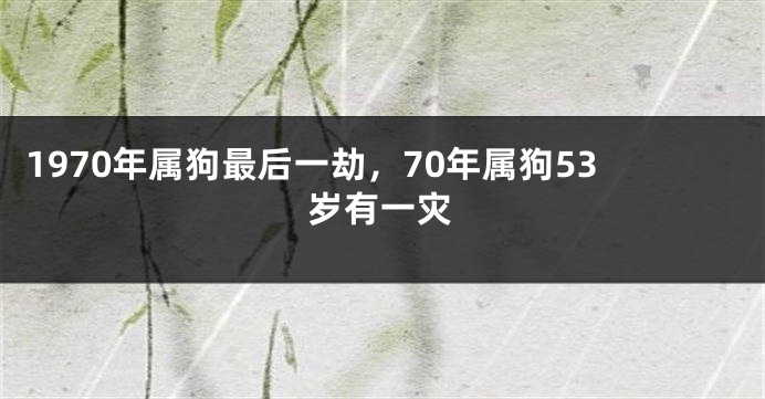 1970年属狗最后一劫，70年属狗53岁有一灾