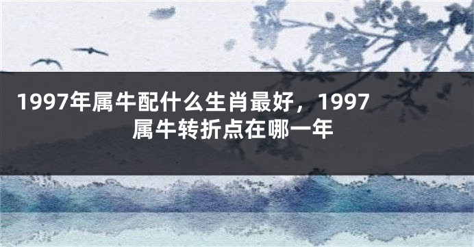 1997年属牛配什么生肖最好，1997属牛转折点在哪一年