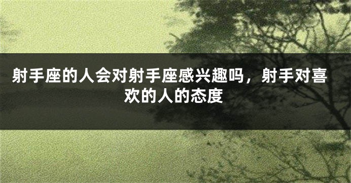 射手座的人会对射手座感兴趣吗，射手对喜欢的人的态度