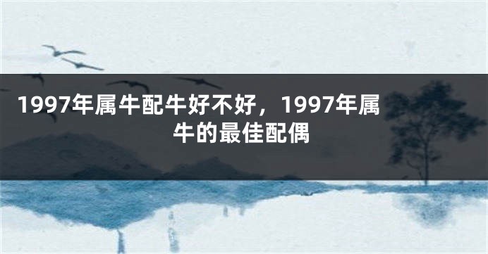 1997年属牛配牛好不好，1997年属牛的最佳配偶