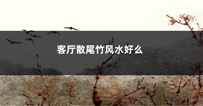 客厅散尾竹风水好么