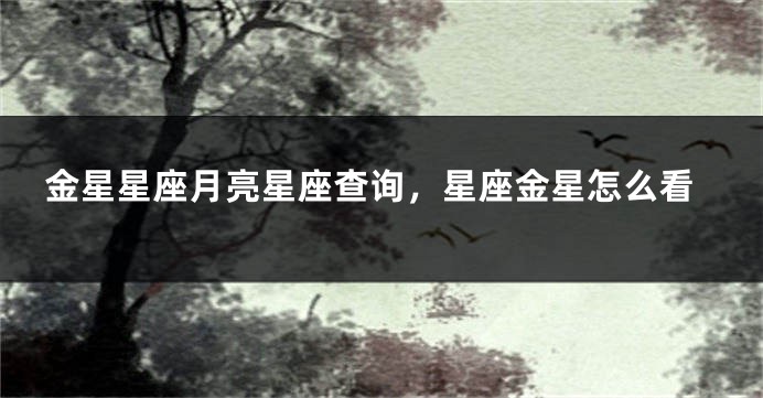 金星星座月亮星座查询，星座金星怎么看