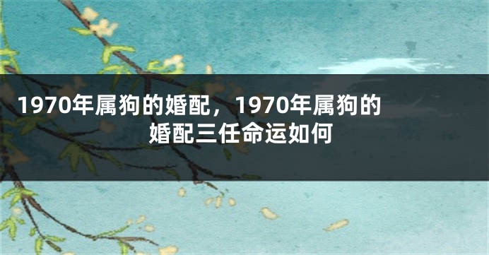 1970年属狗的婚配，1970年属狗的婚配三任命运如何
