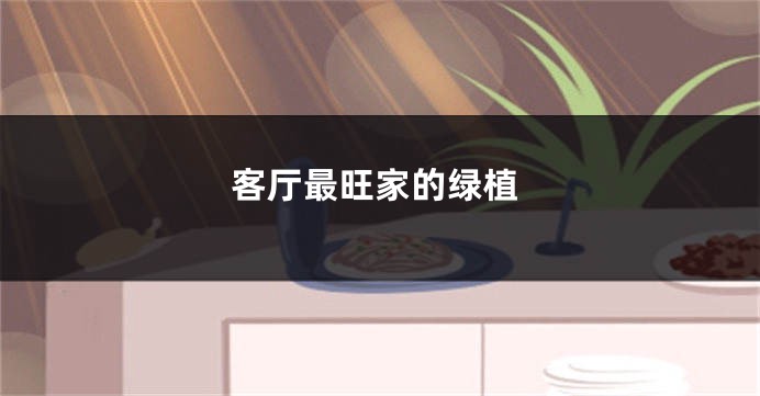 客厅最旺家的绿植