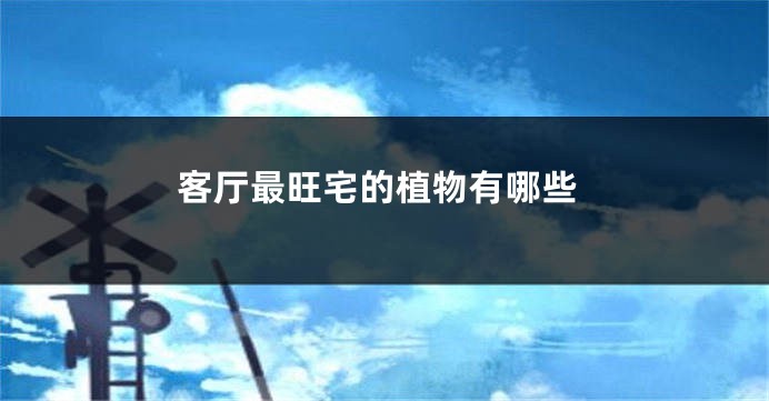 客厅最旺宅的植物有哪些