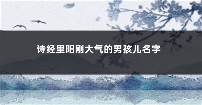 诗经里阳刚大气的男孩儿名字