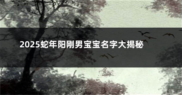 2025蛇年阳刚男宝宝名字大揭秘