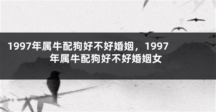 1997年属牛配狗好不好婚姻,1997年属牛配狗好不好婚姻女
