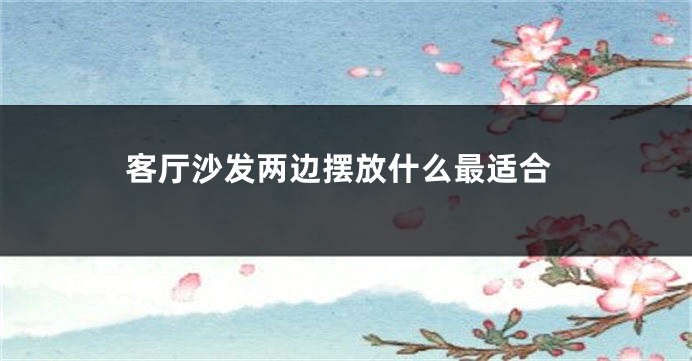 客厅沙发两边摆放什么最适合